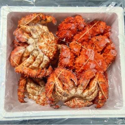 ふるさと納税 根室市 【北海道根室産】花咲ガニ7尾(計3.0kg前後) C-57054 |  | 01