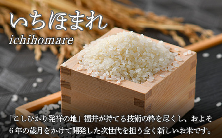 【令和5年産】いちほまれ 無洗米 5kg×1袋《お米マイスターが発送直前に精米！》／ 福井県産 ブランド米 ご飯 白米 新鮮