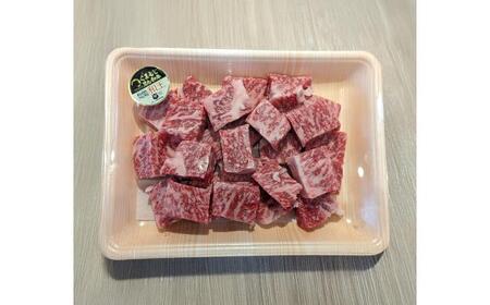 くまもと 黒毛和牛 和王 サイコロステーキ 約1000g（約500g×2P）サイコロステーキ[AYBR035]