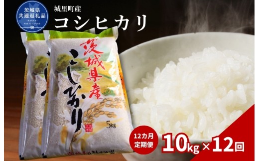 コシヒカリ 10kg  定期便 12ヶ月 米 こめ コメ お米 おこめ こしひかり 白米 精米 ごはん ご飯 令和7年産 茨城県 城里町 高萩市（茨城県共通返礼品・城里町産）