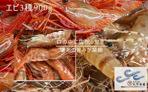 8-024-004　えび3種セット(甘えび・ボタンエビ・シマエビ)