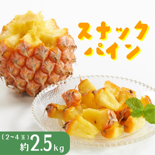 パイナップル スナックパイン 約2.5kg 2～4玉 パイン 果物 フルーツ 沖縄  西表島【TOK:iふぁーむ】配送不可：離島