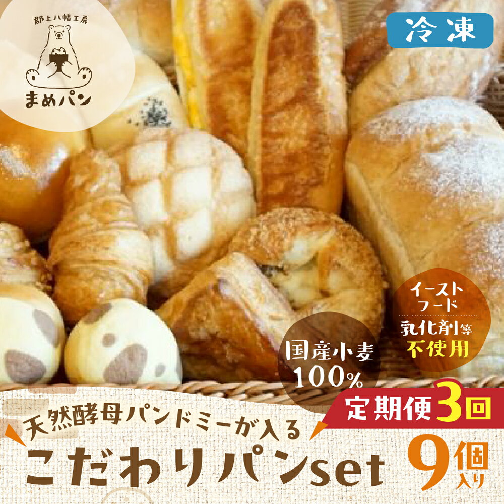 【ふるさと納税】国産小麦のこだわりパン 9個セット 定期便 3ヶ月 天然酵母 パンドミー 定期 詰め合わせ 3回 国産 ドミー パン セット パンセット 冷凍パン 岐阜県 郡上市