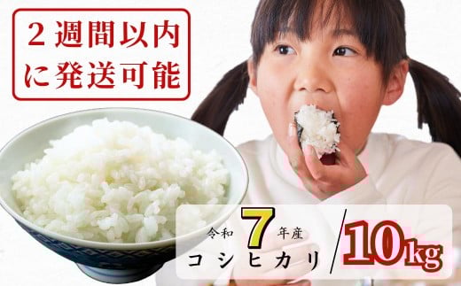 
                  【令和7年産】あわくら源流米 コシヒカリ白米 10kg｜西粟倉村産・昼夜寒暖差が育む甘み｜ふるさと納税 K-ag-AEJA
                