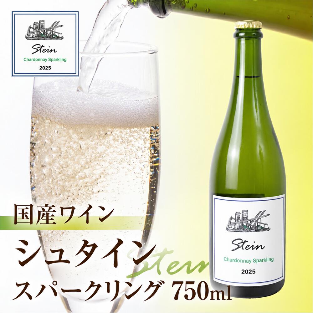 【ふるさと納税】Stein シュタイン スパークリングワイン 1本 石巻産葡萄100％使用 ワイン 国産 スパークリング ワイン