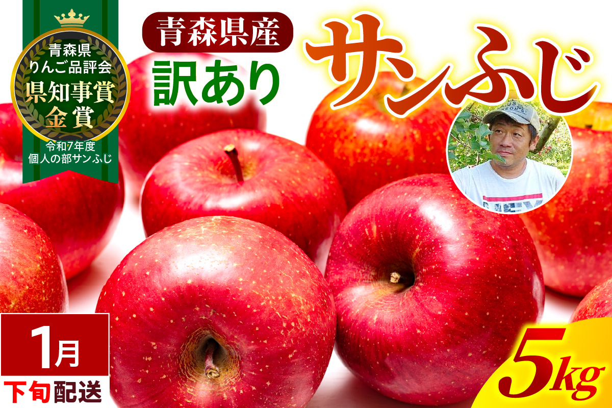 【2027年1月下旬発送】【訳あり】りんご 青森産 約5kg サンふじ