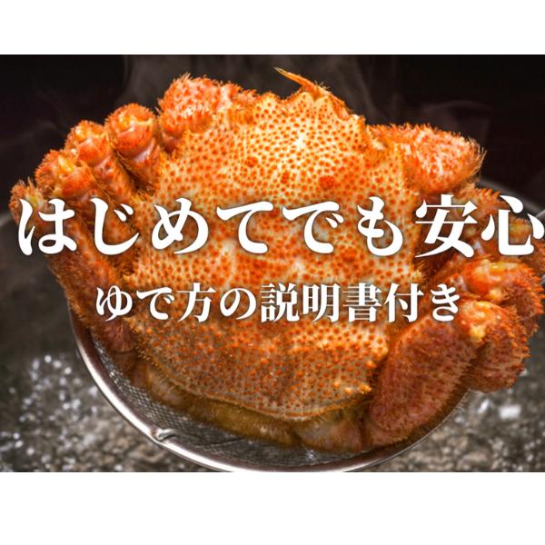 【令和8年発送】三陸産 三陸活毛ガニ 400g×2杯【2026年3月～4月発送】【05】