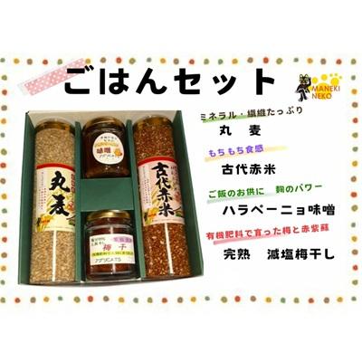 ふるさと納税 宗像市 【一週間以内に発送】〈ギフト〉ごはんセット【アグリCATS】_HA1846
