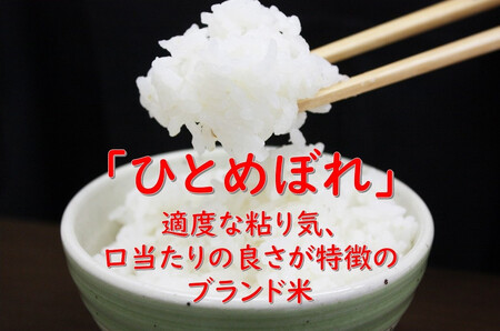 【白米】 1回のみ配送 5kg 令和5年産 ひとめぼれ 土作り実証米 秋田県産