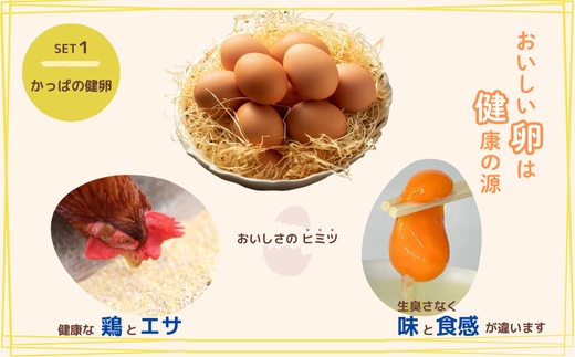 とっておき濃厚！たまごかけごはんセット