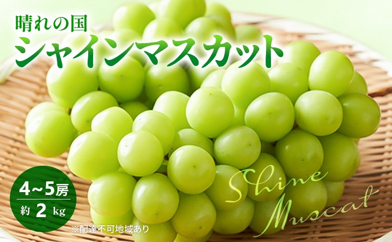 早期受付 ぶどう 晴れの国 シャインマスカット 2kg (4～5房) 化粧箱入り 岡山県 高梁市 ブドウ 葡萄 果物 フルーツ 