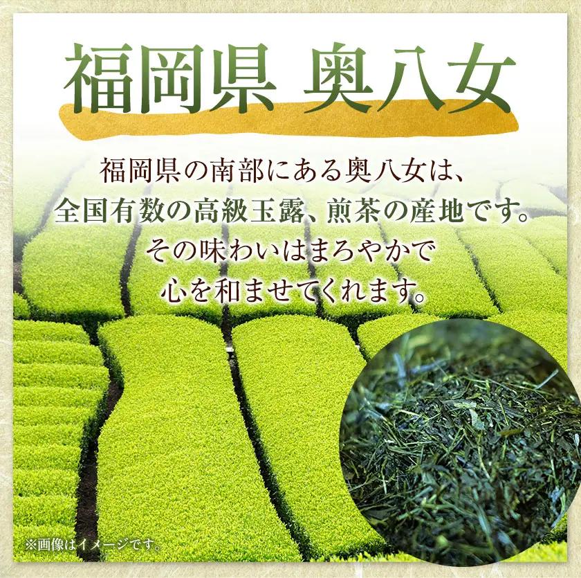 八女茶芳友園のかぶせ茶・煎茶詰合せB 各150g×1缶 合計300g 株式会社木屋芳友園