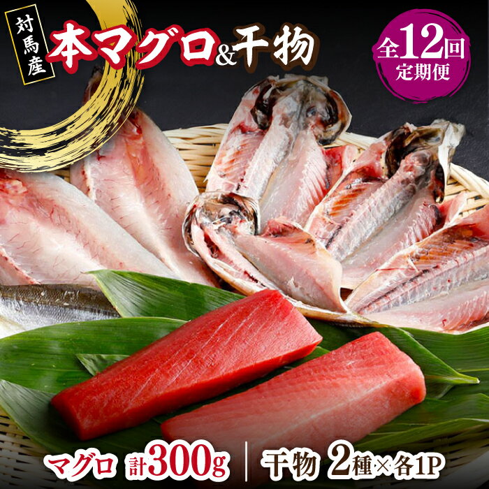 【ふるさと納税】【全12回定期便】対馬産 本マグロ 中トロ300g ＆干物《対馬市》【対海】 [WAH011] 新鮮 マグロ 鮪 本鮪 トロ 海鮮 冷凍 浜干し ひもの 定期