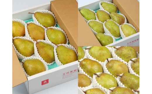 08-03-110　西洋梨クラブ(定期便)全3回