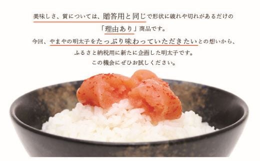 もつ鍋 明太子 やまや 訳あり 6回 定期便 もつ鍋セット 5人前 訳あり明太子 1kg [やまやコミュニケーションズ 福岡県 宇美町 um40azo860014] 博多 明太子 めんたいこ 牛もつ 