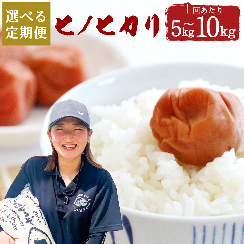 【ふるさと納税】【選べる定期便】ヒノヒカリ 5kg／10kg 3ヶ月定期便（合計15kg～30kg） または 6ヶ月（合計30kg～60kg） 選べる容量 大分県産 ひのひかり 精米 米 国産 九州産 送料無料【2025年11月下旬発送開始】 楽天スーパーSALE 9月開催
