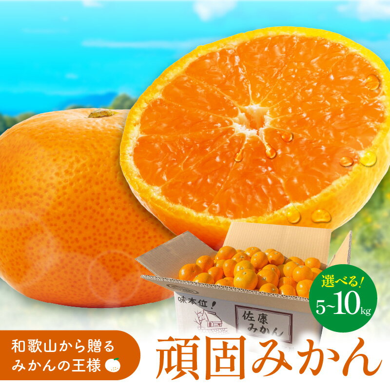 【ふるさと納税】和歌山県天田のこだわり頑固みかん 5kg 10kg