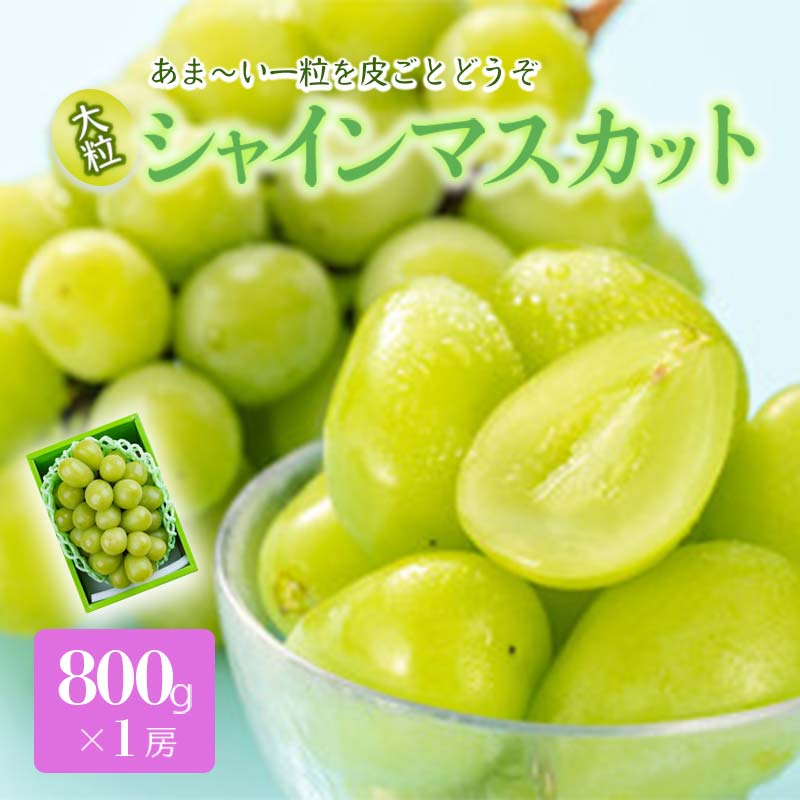 【ふるさと納税】 《先行予約 2026年度発送》シャインマスカット 800g 1房 マスカット ぶどう ブドウ 葡萄 デザート フルーツ 果物 くだもの 果実 食品 山形県 FSY-0512