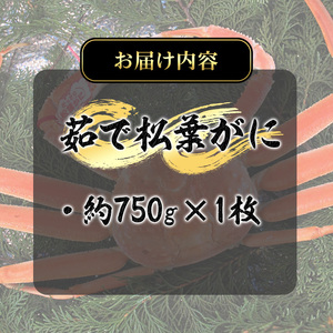 ＜数量限定！11月～3月上旬発送予定＞茹で松葉がに(1枚・約750g) 国産 魚介 海鮮 カニ かに 蟹 松葉ガニ 松葉蟹 ズワイガニ ずわいがに ボイル 冷蔵 【T-DI2】【大山ブランド会】