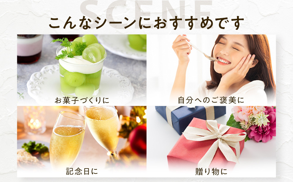 ナガノパープル約1kg 以上【2026年9月以降発送予定】(さらしな青果) |  ぶどう ナガノパープル  オリジナル 人気 おすすめ 葡萄 ブドウ フルーツ 果物 種なし 皮ごと 大粒 旬 ギフト 