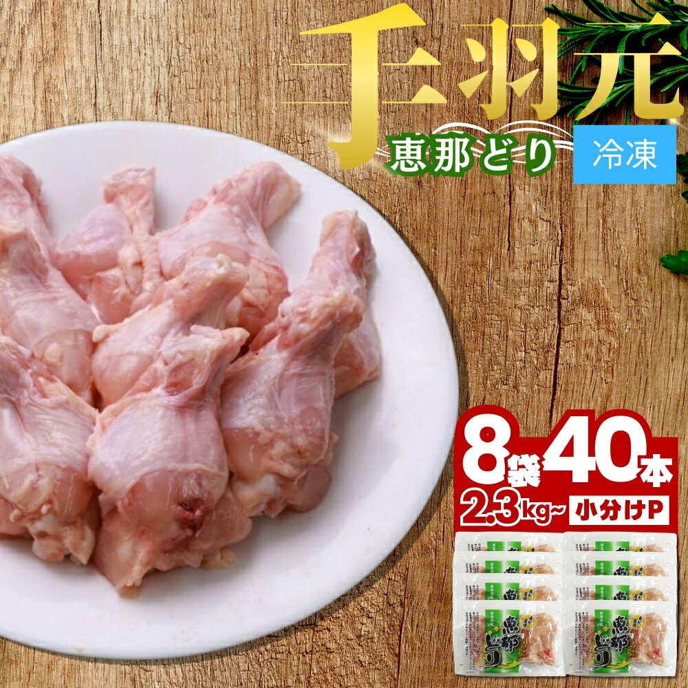 【ふるさと納税】恵那どり 手羽元 5本 × 8パック 冷凍【トーノーデリカ】小分け 真空パック 個包装 恵那どり 鶏肉 鳥肉 送料無料 とりにく えなどり てばもと 岐阜県 中津川市 ご入金確認後1週間〜2週間程度で発送（お盆期間・年末年始の繁忙期は遅れる恐れ） F4N-0438