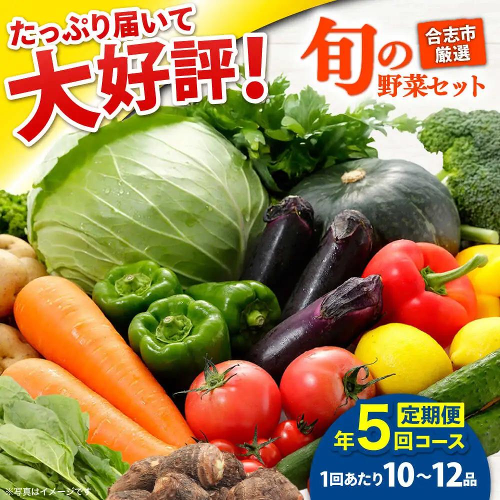 【年5回コース定期便】合志の旬のお野菜10品から12品目  野菜[AYAB020]