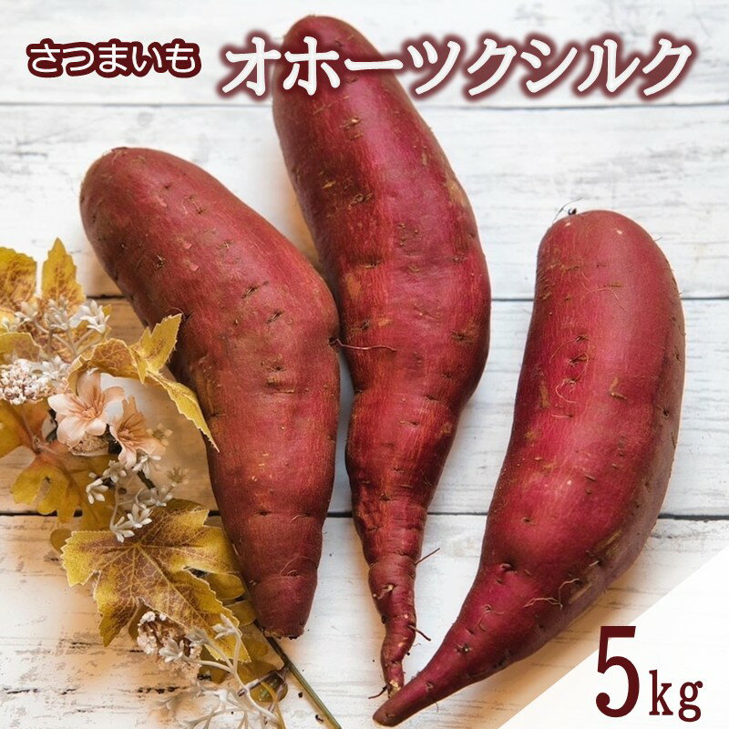 【ふるさと納税】【予約：2025年11月中旬から順次発送】北海道北見市常呂町産 サツマイモ オホーツクシルク 5kg