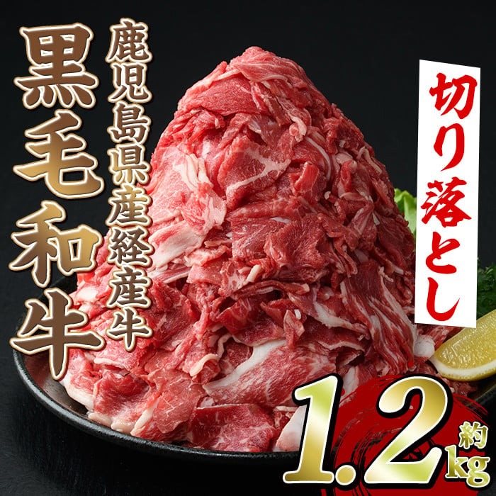 黒毛和牛鹿児島県産(経産牛)切り落とし(計1.2kg・600g×2P) 国産 牛肉 肉 冷凍配送 小分け 個包装 セット しゃぶしゃぶ すき焼き バーベキュー BBQ 鍋【スターゼン】a-12-97-z