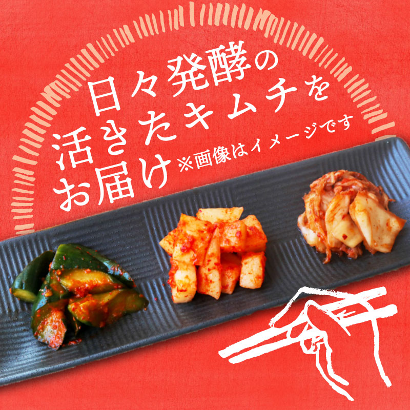 【土佐キムチ 白菜】 白菜キムチ 300g×3パック 無添加 自然派 パリパリ キムチ 漬物 発酵 白菜 キムチ 手作り てづくり 韓国 高知県 南国市