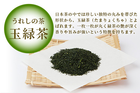 【ギフトにおすすめ】 佐賀県産 上煎茶 うれしの茶 100g×1本 レターパック配送 美味しいお茶を贈り物に ご自宅用にもおススメ AA-49