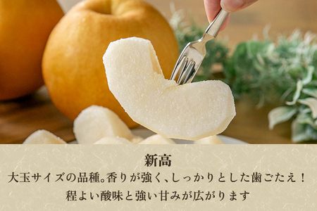 【2026年先行予約】新潟県加茂市産 和梨 新高3kg（4～8玉）〈10月上旬～順次出荷〉にいたか