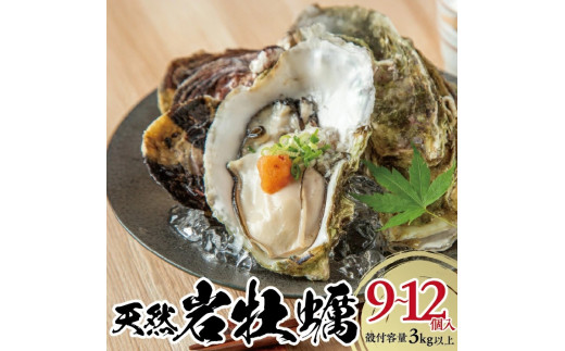 天然岩牡蠣　計3kg以上(9～12個入) SF0370