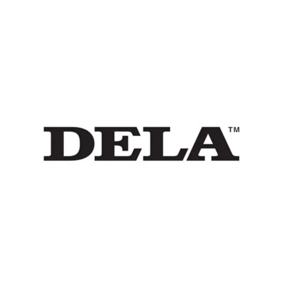 DELA ミュージックライブラリー N1-S38A-J (シルバー、SSD3.8TB)
