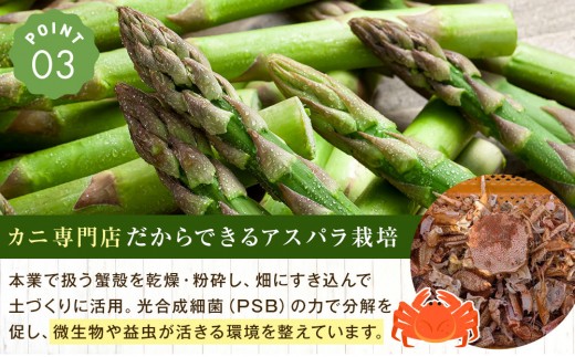 【先行予約】【訳あり】露地物朝採りアスパラ 1kg（500g×2）鮮度保持フィルム入り(2027年5月中旬発送開始予定) 【とれたて 野菜 旬 小分け 保存 産直 産地直送 お取り寄せ 旭川市 北海道