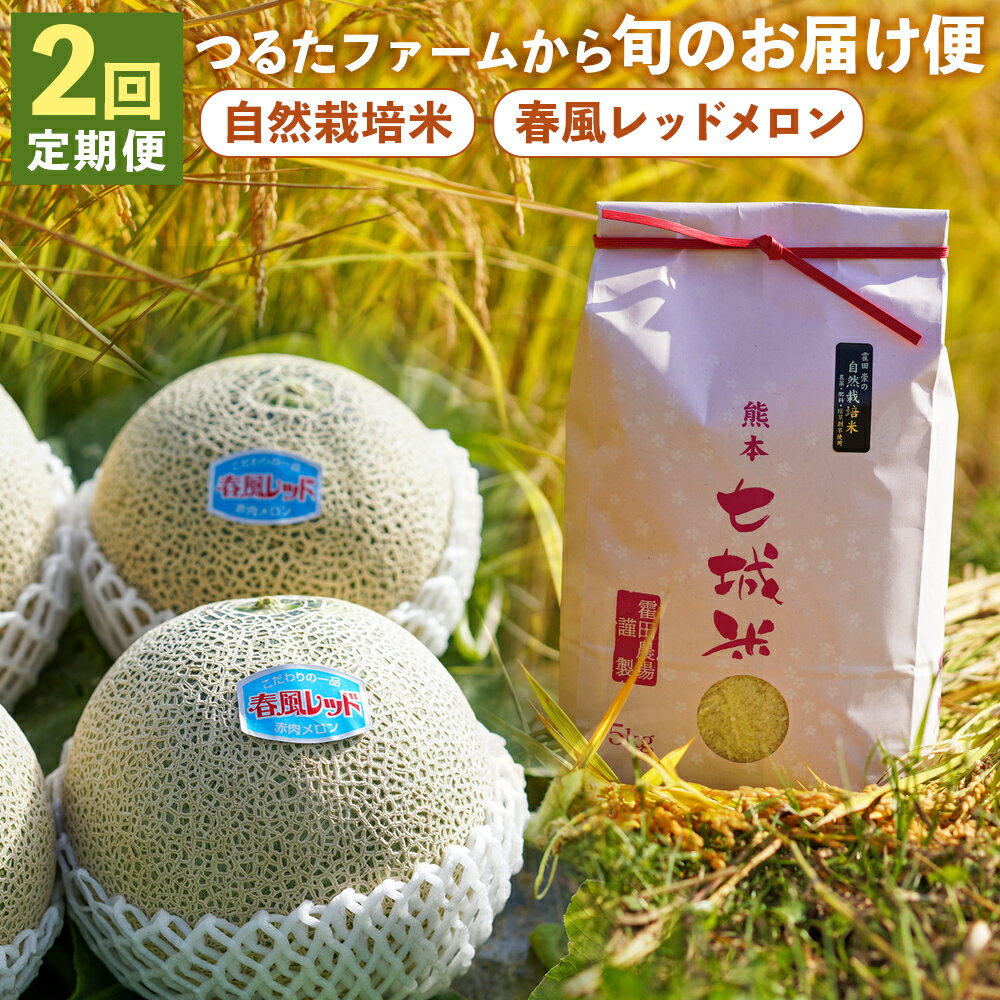 【ふるさと納税】【2回定期便】つるたファームから旬のお届け便 Red 自然栽培米5kg 春風レッドメロン3～4玉 2回お届け 定期便 フルーツ 果物 メロン お米 精米 白米 菊池市 熊本県産 九州産 お米 メロン 送料無料