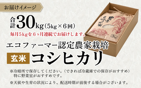 【令和7年産】【6ヶ月定期便】越前大野産 エコファーマー認定農家栽培こしひかり 玄米 5kg × 6回 計30kg [I-001001_02]