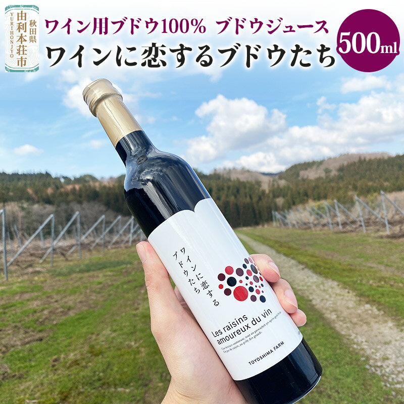 【ふるさと納税】《予約受付》TOYOSHIMA FARM ワイン用ブドウ100％のブドウジュース 500ml