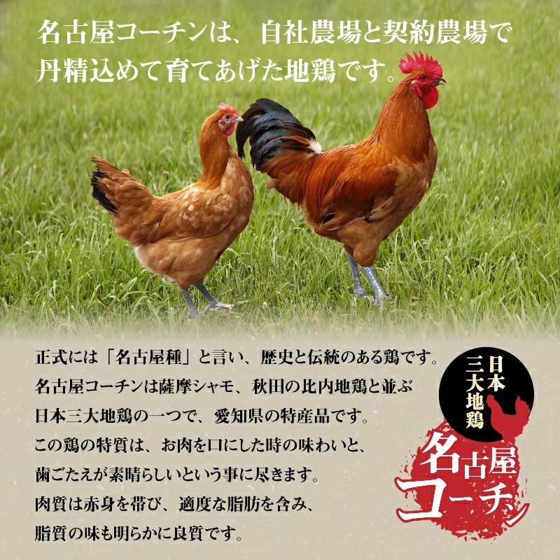 【12月21日受付分まで年内発送】元祖白だし濃厚スープ　名古屋コーチンつみれ鍋セット（3～4人前）きしめん付き　H001-071