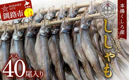 本場くしろ産 ししゃもメス40尾入り！ 本ししゃも 魚 ししゃも 魚好きのメス プチプチたまごのメス 魚介 グルメ シシャモ 北海道産 国産 魚 魚介 海の幸 F5F-0137