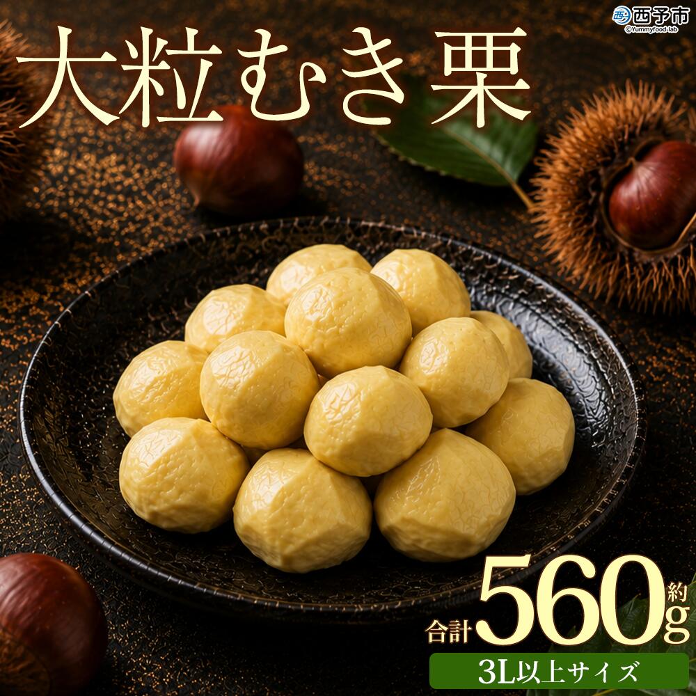 【ふるさと納税】＜大粒むき栗 約280g×2袋＞『9月中旬から順次出荷予定』 和栗 皮なし くり おおつぶ 大きい 幻の栗 甘い 新鮮 栗ごはん 栗きんとん 剥き栗 甘露煮 旬 国産栗 お取り寄せ 旬 特産品 国産 秋の味覚 真空パック 長期保存 皮むき不要 おせち 小屋敷農園【冷凍】