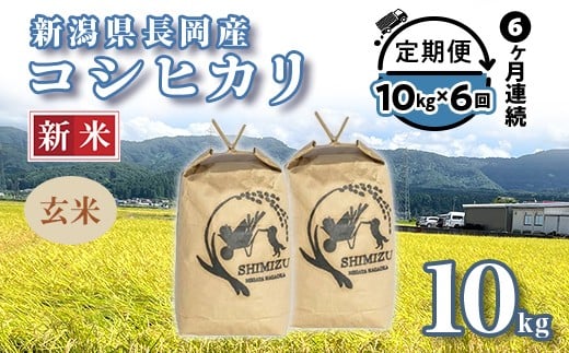 
            N5-G106【6ヶ月連続お届け】新潟県長岡産コシヒカリ玄米10kg
          