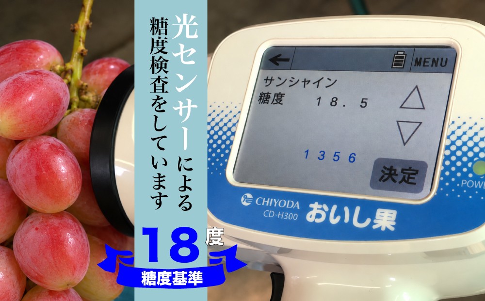 光センサー糖度計により糖度18度基準でサンシャインレッドを選果してお届けします。