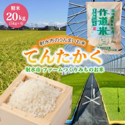 ふるさと納税 射水市 【先行予約・R8年産】ファームつくりみちのお米 作道米  てんたかく 20kg(5kg×4)精米