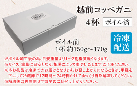 【先行予約】【数量・期間限定】福井県産 越前コッペガニ（セイコガニ）×4杯【急速冷凍】（プロトン凍結）【11月下旬より発送】