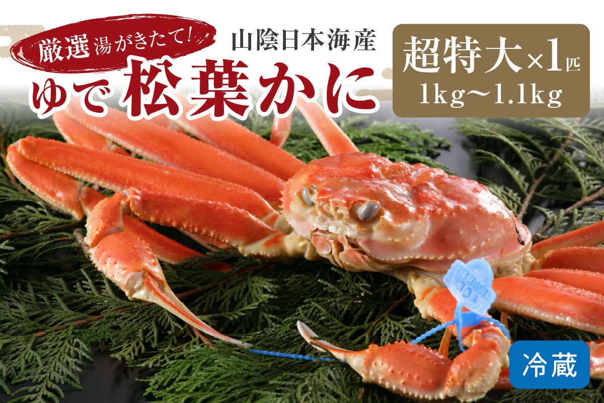 かに卸問屋がお届け・自社釜ゆで！山陰沖ゆで松葉がに 1ｋｇ～1.1ｋｇ 超特大サイズ（1月～3月発送）／北畿水産　HK00320