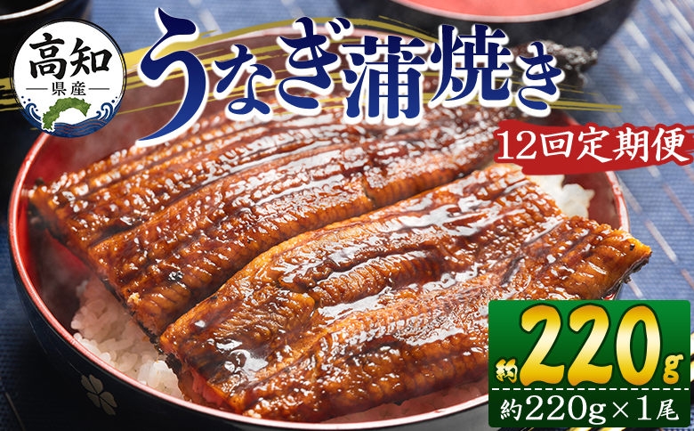 【１２回定期便】高知県産養殖うなぎ蒲焼き 約220g×１尾 うなぎ 魚介 国産 海鮮 魚 かばやき 鰻 ウナギ 惣菜 おかず お手軽 加工品 加工食品 冷凍 Wfb-0060