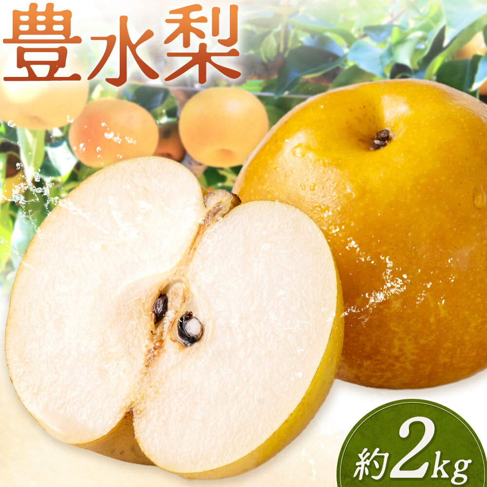 【ふるさと納税】 先行予約 旬 梨 フルーツ 豊水梨 約2kg 豊水 株式会社エフビーネット《8月中旬-9月上旬頃出荷》熊本県 氷川町 熊本県 氷川町産 なし ナシ 旬の梨 果物 くだもの スイーツ