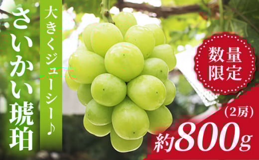 マスカット 【先行予約☆もっちり弾ける宝石】さいかい琥珀（雄宝/ゆうほう）約800g（2房）＜山田果樹園＞[CCX002]  長崎 西海 シャインマスカット マスカット ぶどう 高糖度 ますかっと 果物 フルーツ 贈答