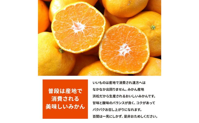 【訳あり】店長おまかせ浜松みかん 約2kg サイズL～2L ミカン 蜜柑 フルーツ  みかん ミカン 三ヶ日 みかん 蜜柑 糖度 静岡 浜松市