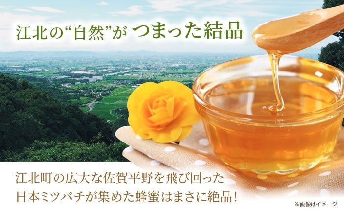 【先行予約】日本ミツバチの天然生はちみつ ( 百花蜜 ) 200g【白木酒店】 [HAQ031]